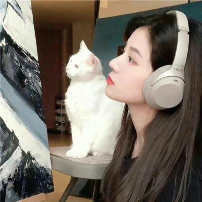 史迪奇头